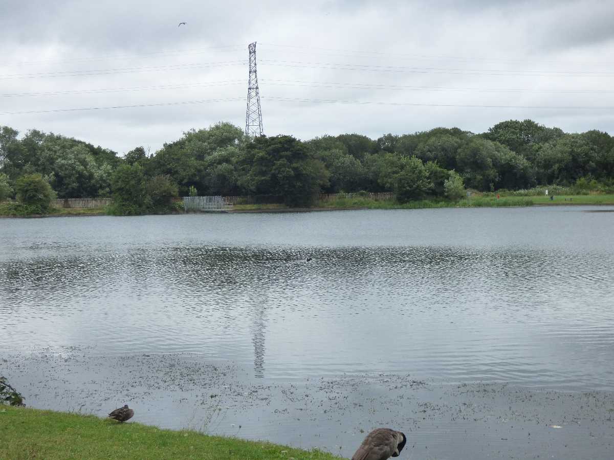 Lifford Reservoir